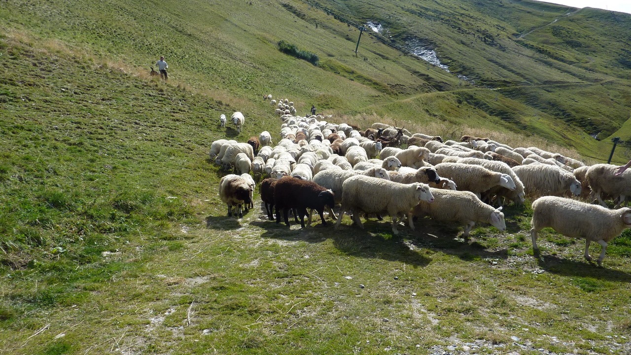 Photo of Others in Saint-Gervais-les-Bains