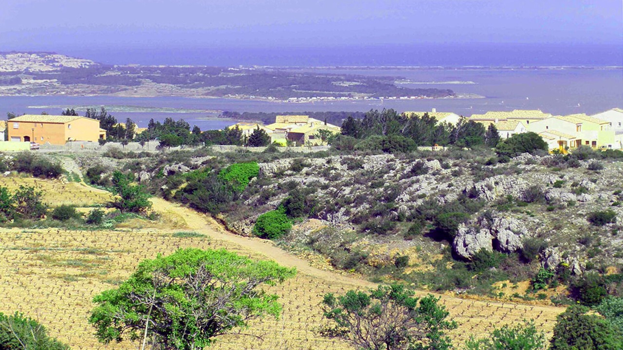 Photo of Others in Fitou
