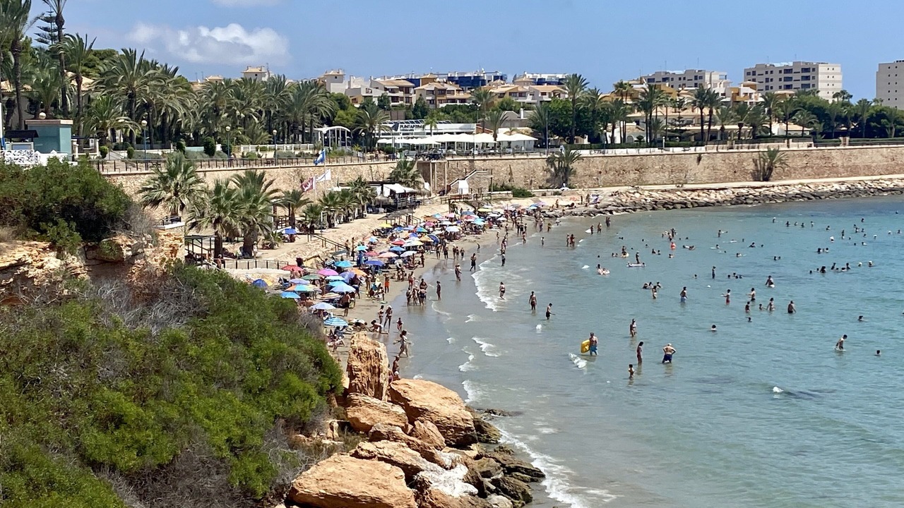 Photo of Others in Flamenca Beach