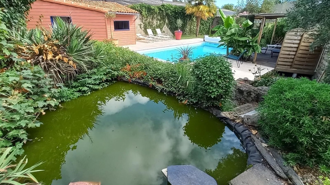 Photo of Outdoor in Montreuil-Bellay