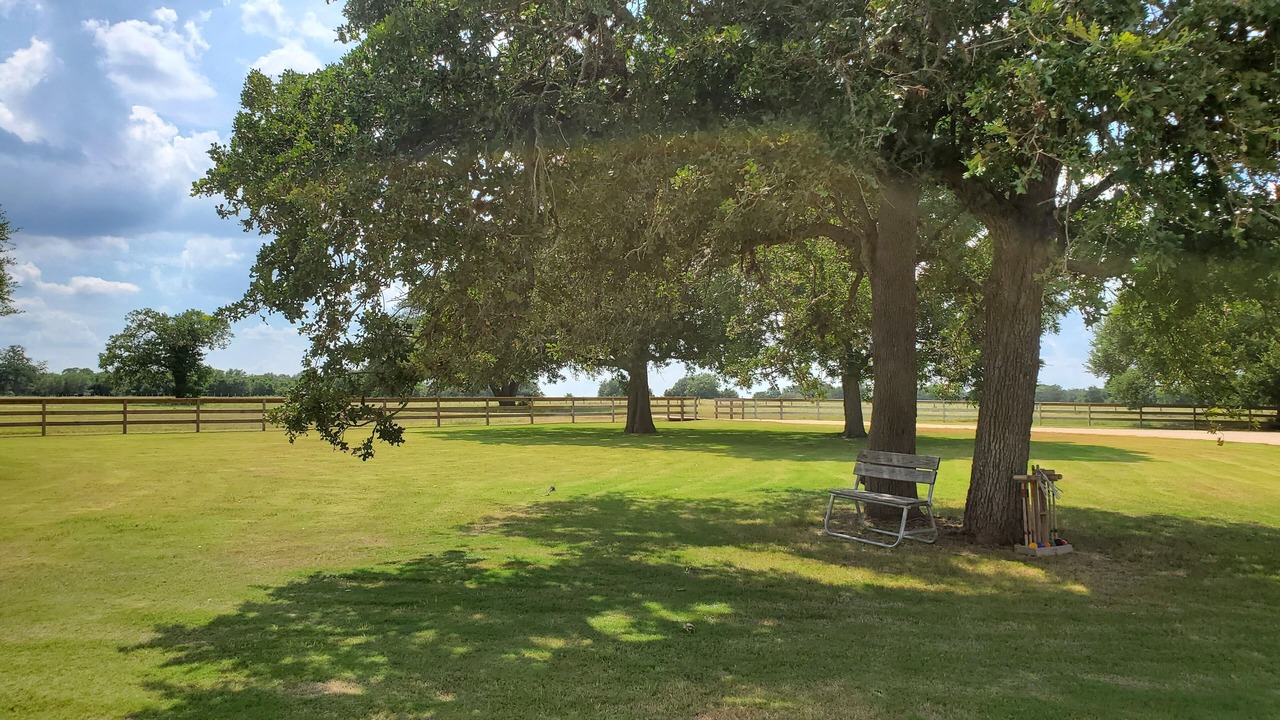 Photo of Others in Round Top