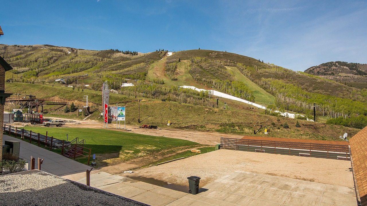 Photo of Others in North Park City