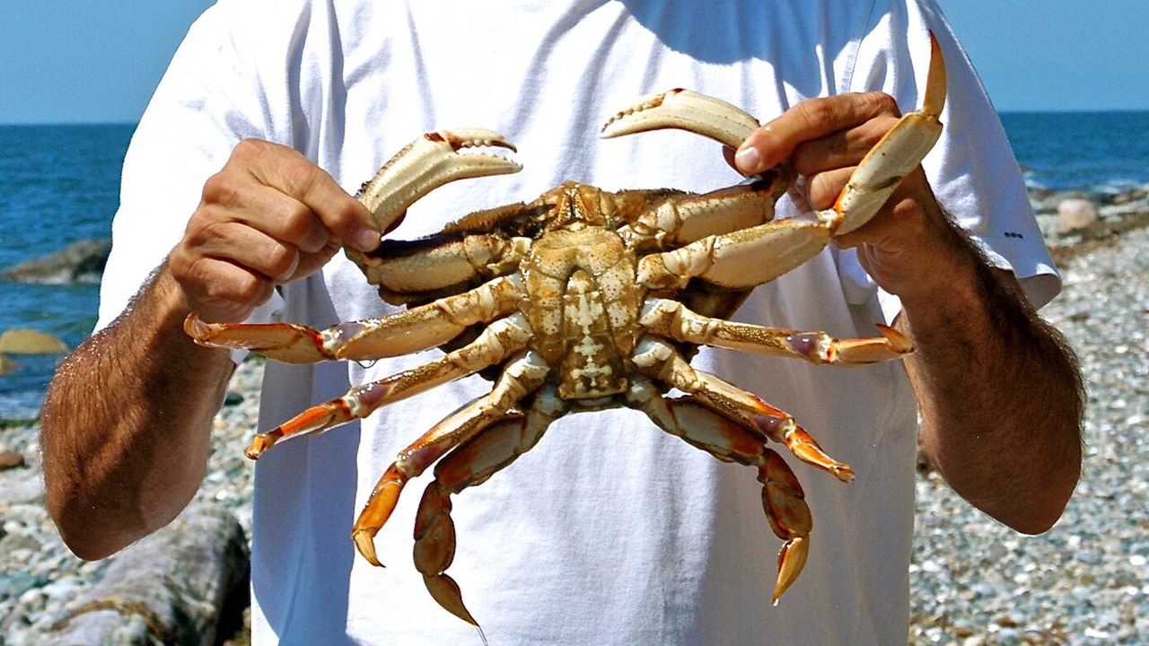 Photo of Others in Birch Bay