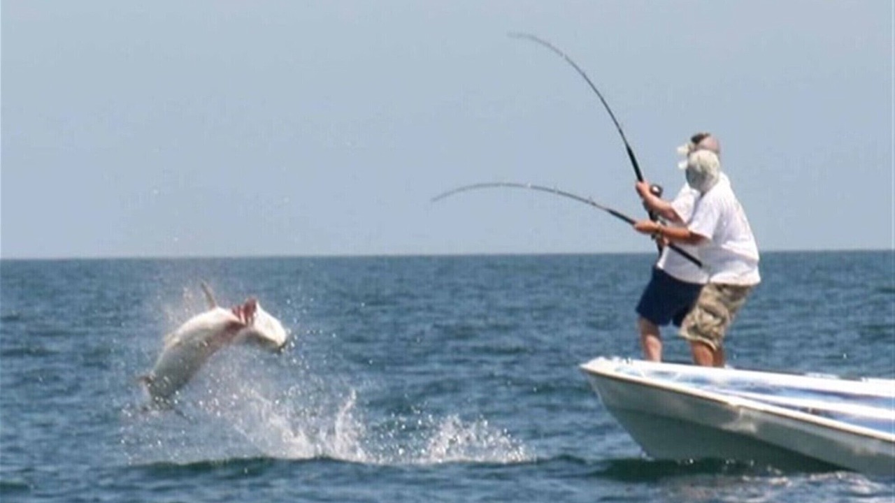 Photo of Others in Galveston
