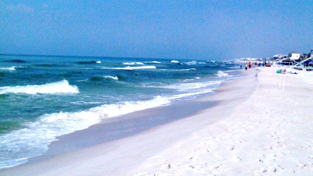 Photo of Others in West Panama City Beach