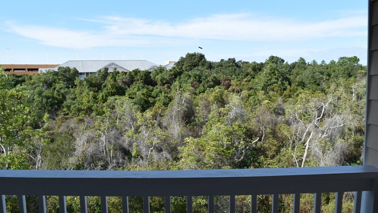 Photo of Patio Balcony in West Panama City Beach