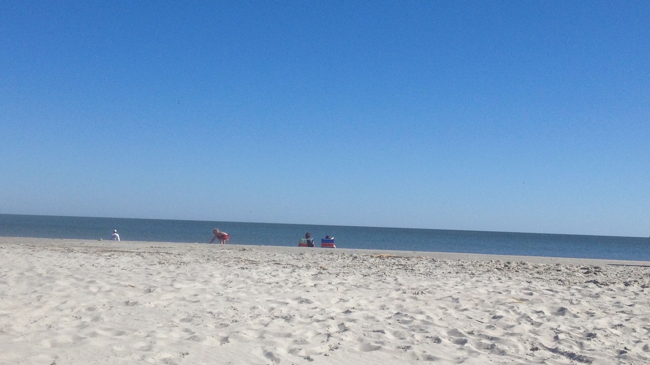 Photo of Others in Folly Field