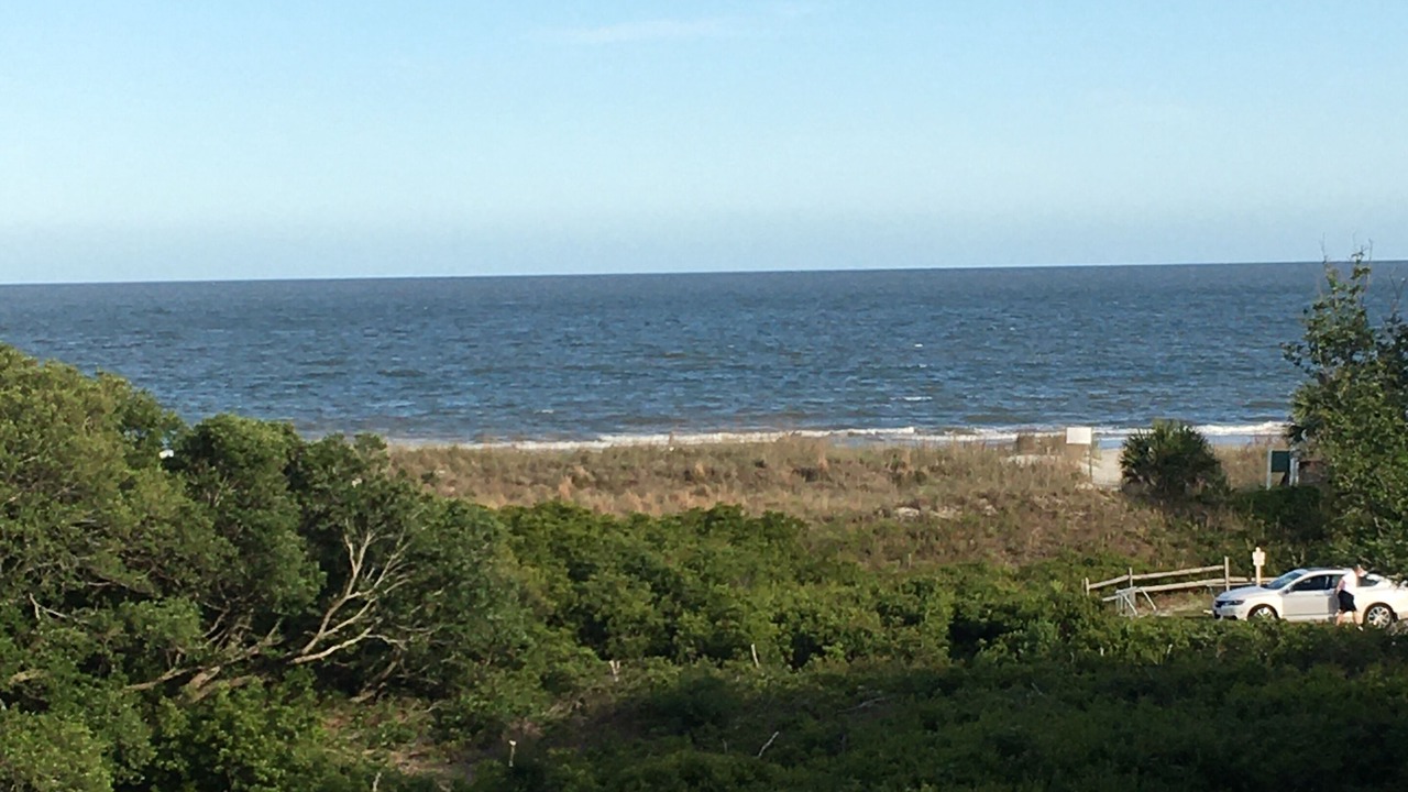 Photo of Others in Folly Field