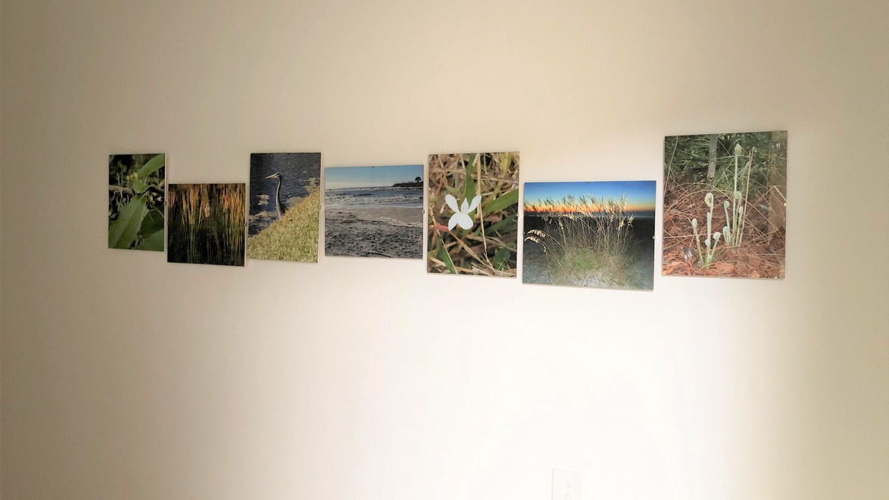Photo of Others in Folly Field