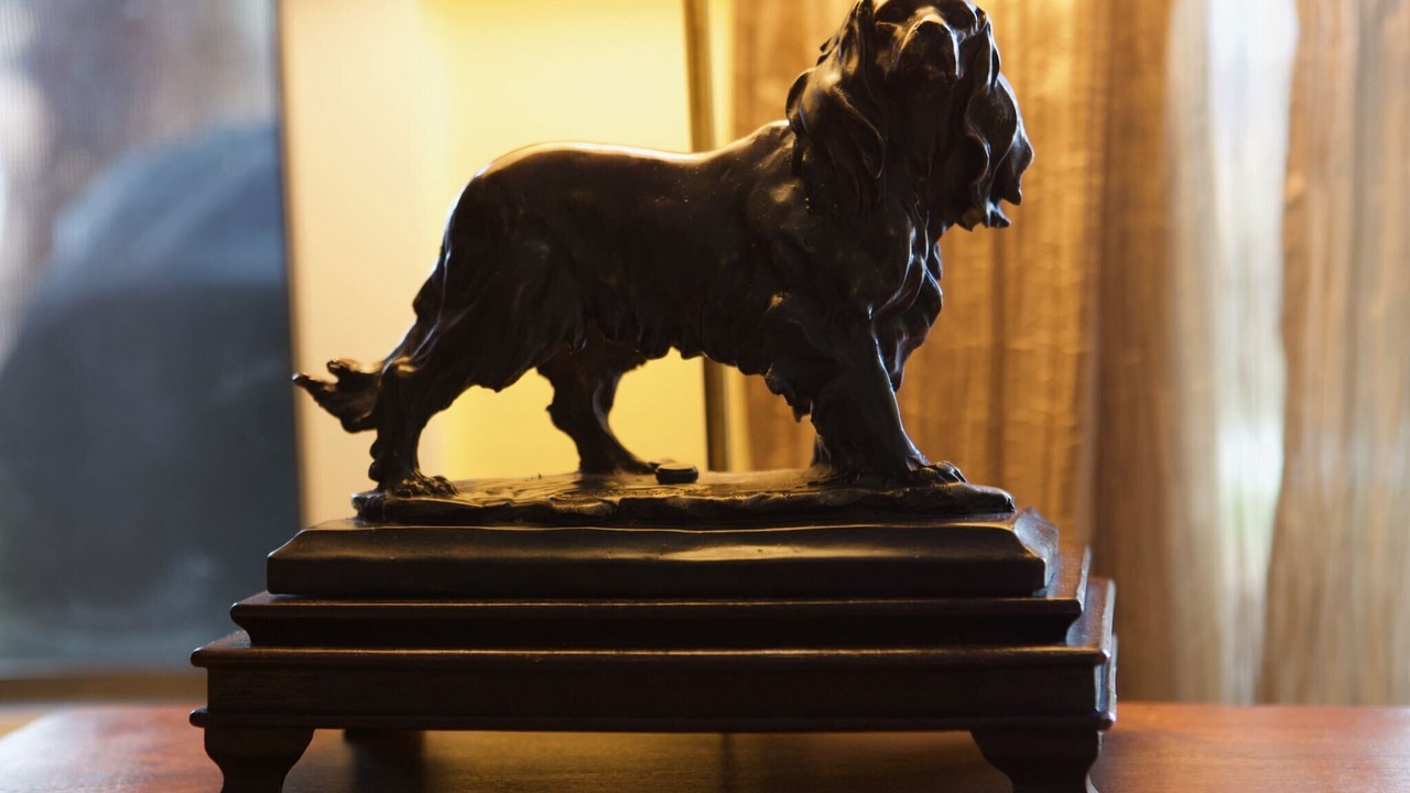 Photo of Others in Jackson