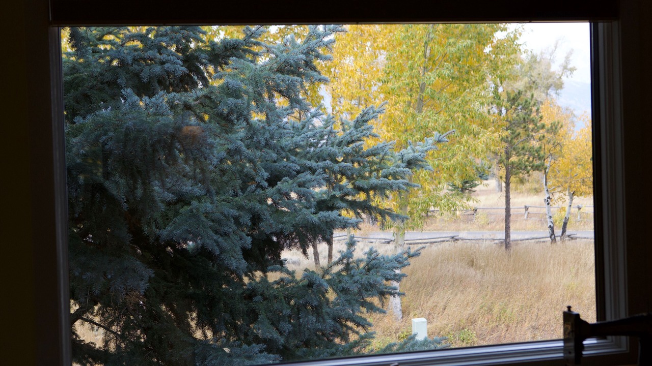 Photo of Others in Jackson