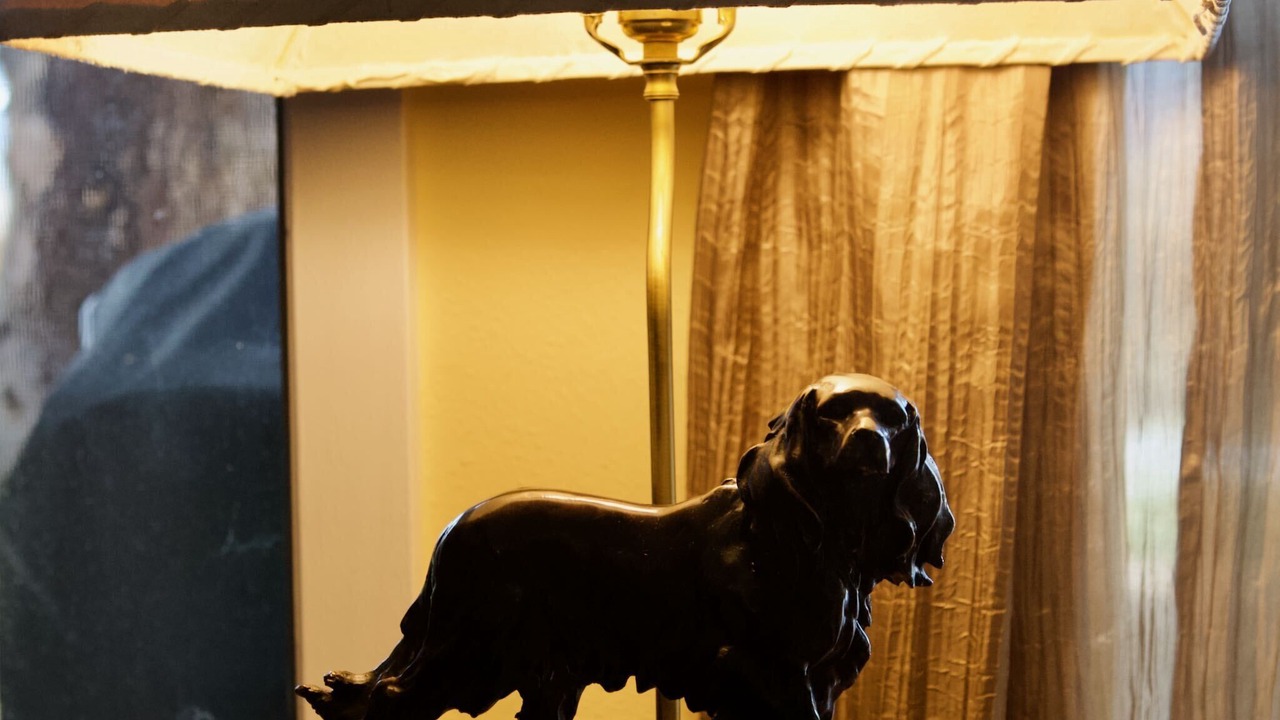 Photo of Others in Jackson