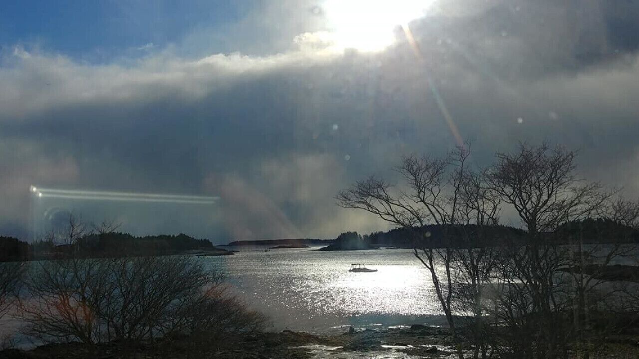 Photo of Others in Lords Cove