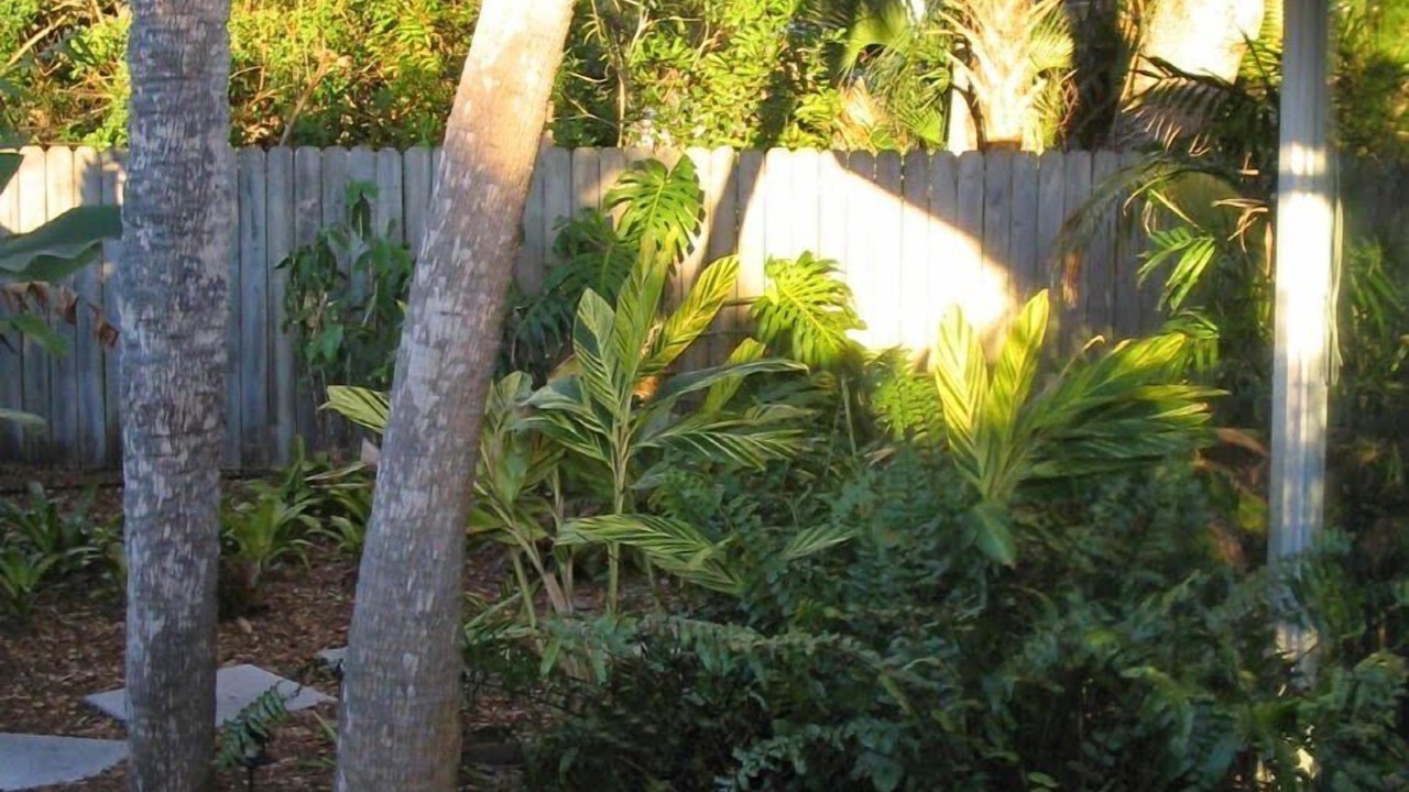 Photo of Others in Siesta Key