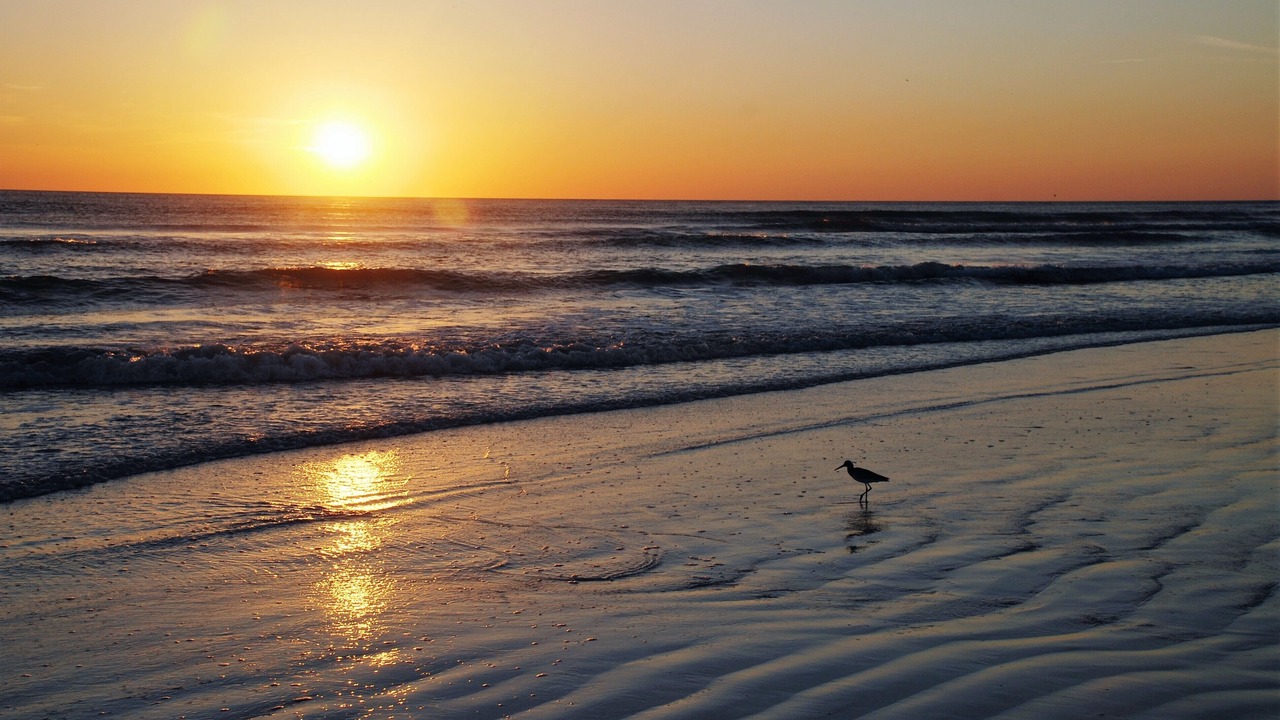 Photo of Others in Siesta Key
