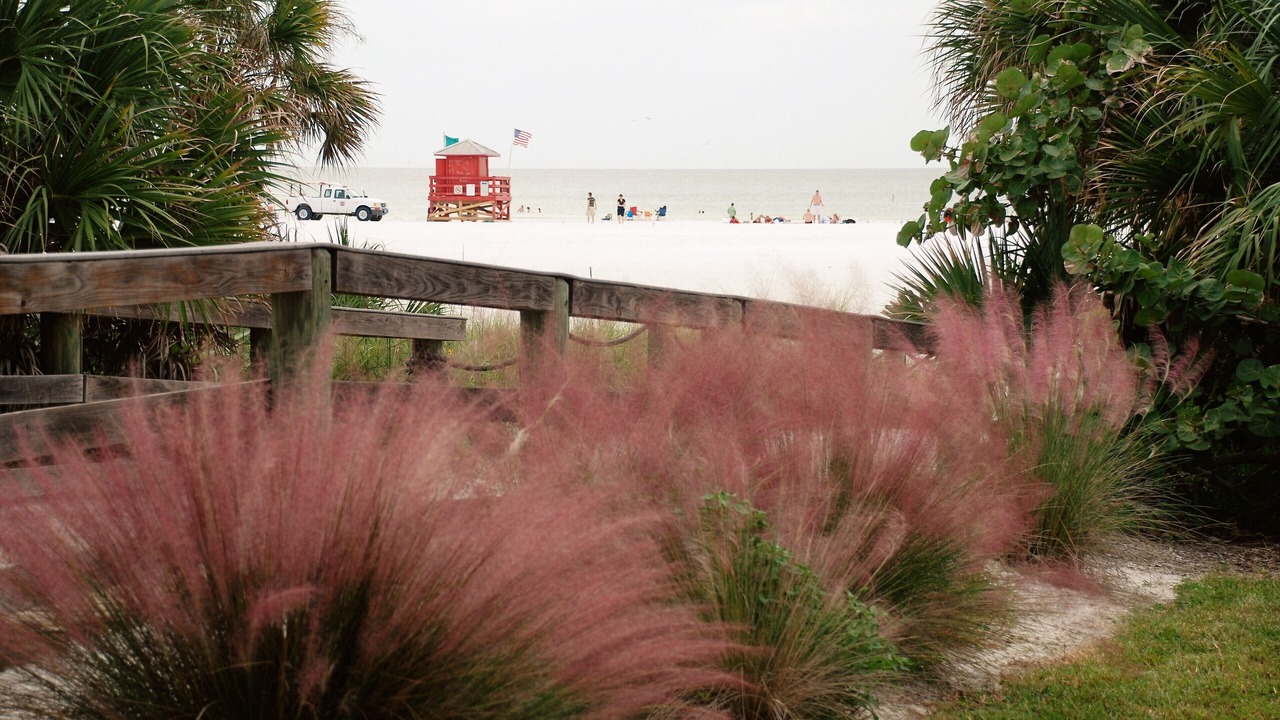 Photo of Others in Siesta Key