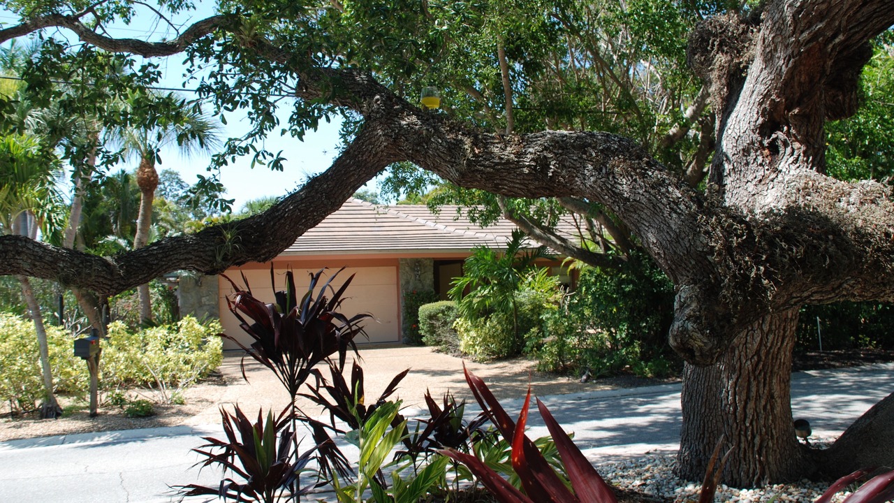 Photo of Outdoor in Siesta Key
