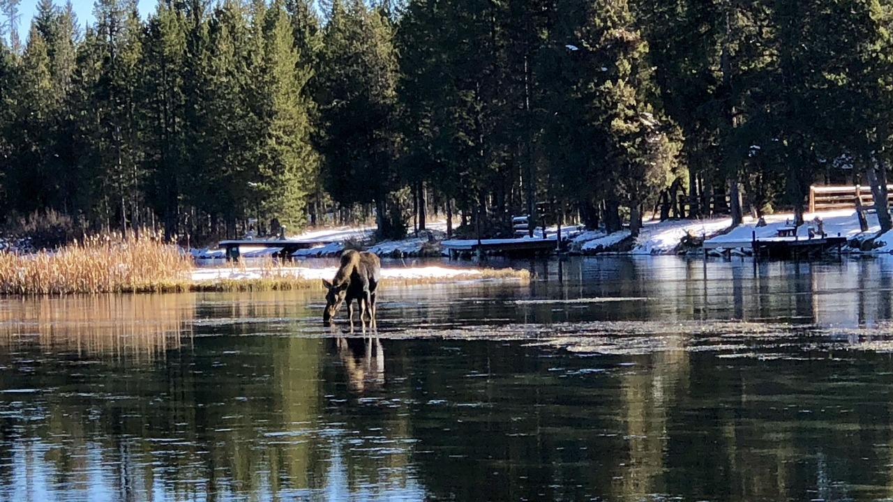 Photo of Others in Last Chance