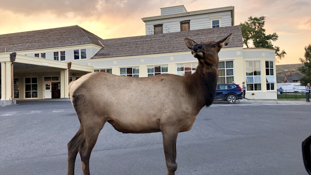 Photo of Others in Last Chance