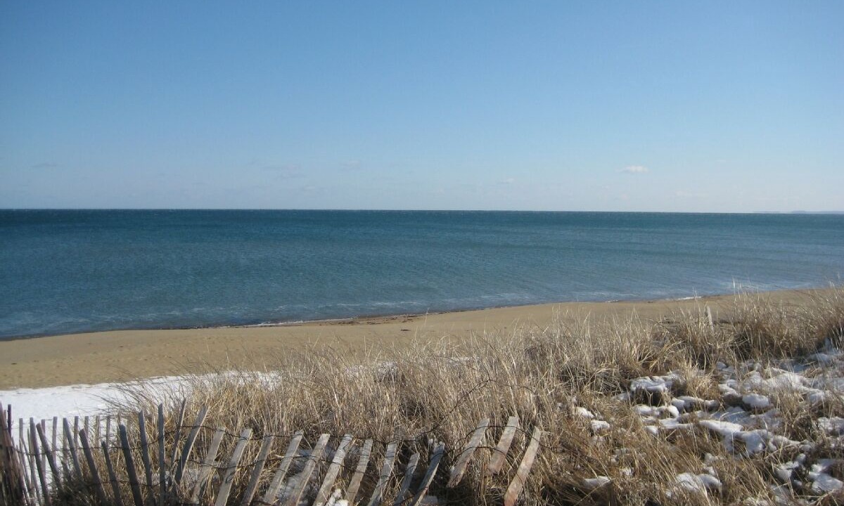 Photo of Others in Salisbury