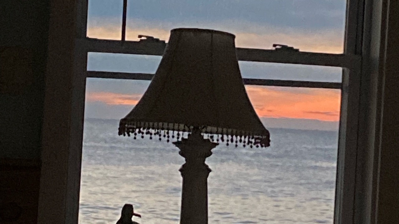 Photo of Others in Salisbury