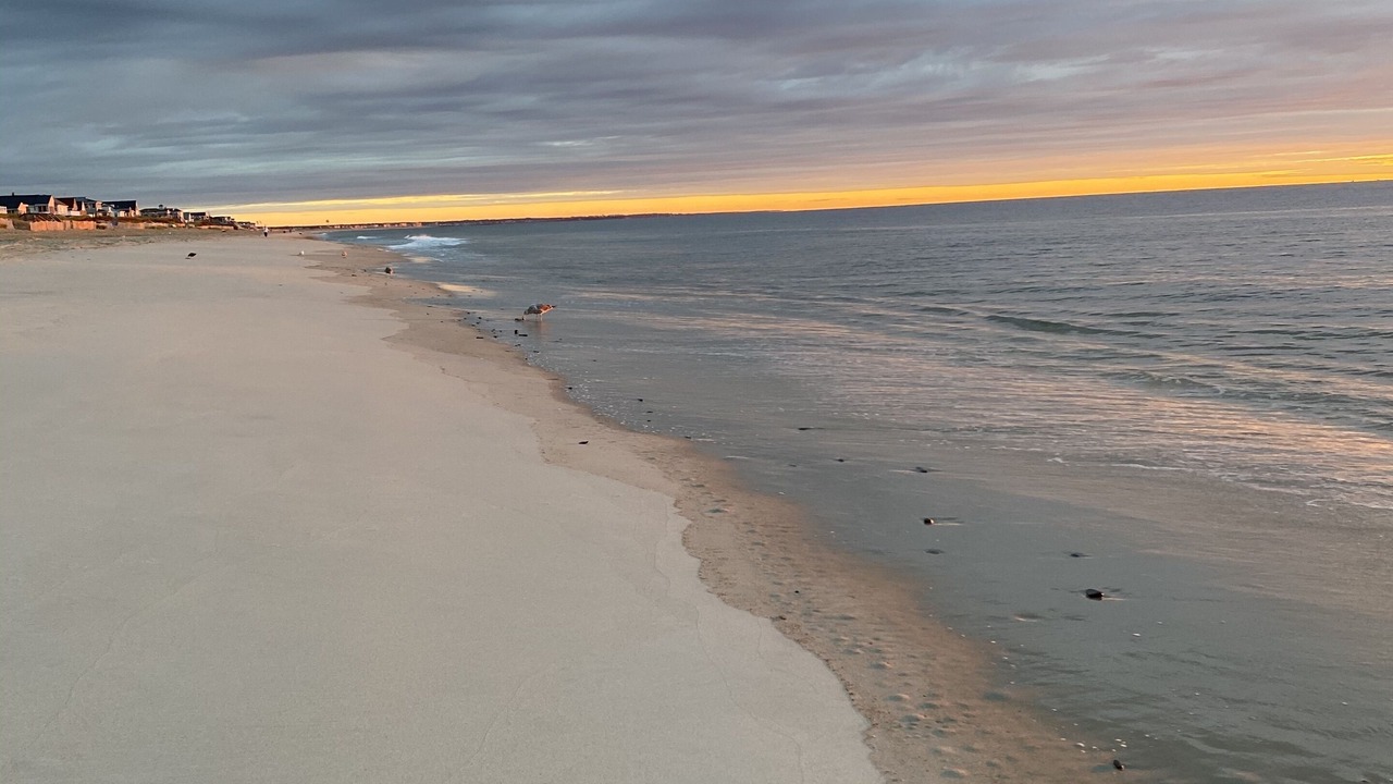 Photo of Others in Salisbury