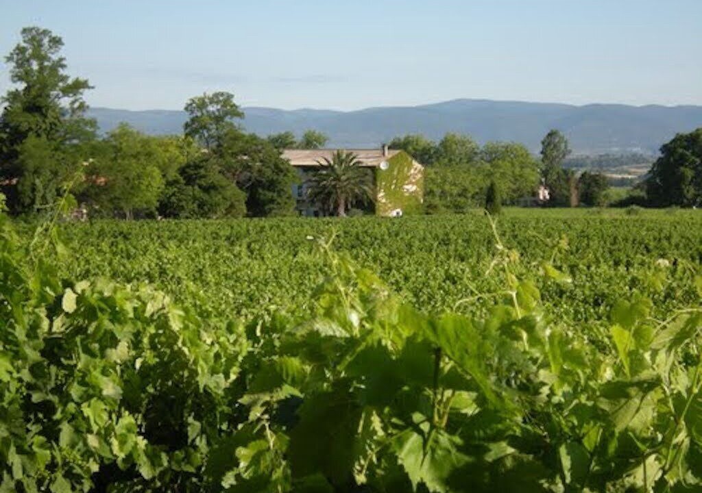 Photo of Outdoor in Puicheric