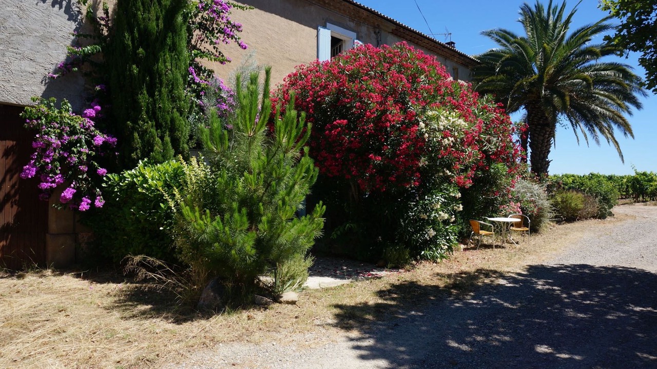 Photo of Outdoor in Puicheric
