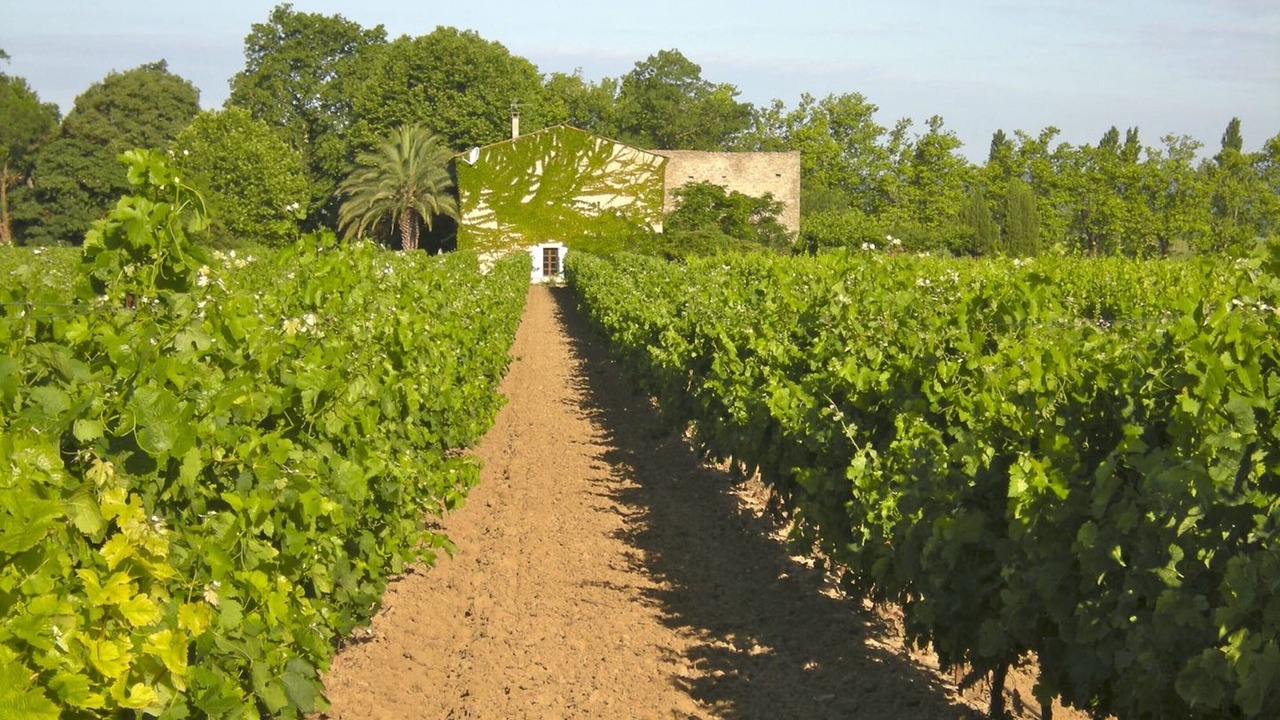 Photo of Others in Puicheric