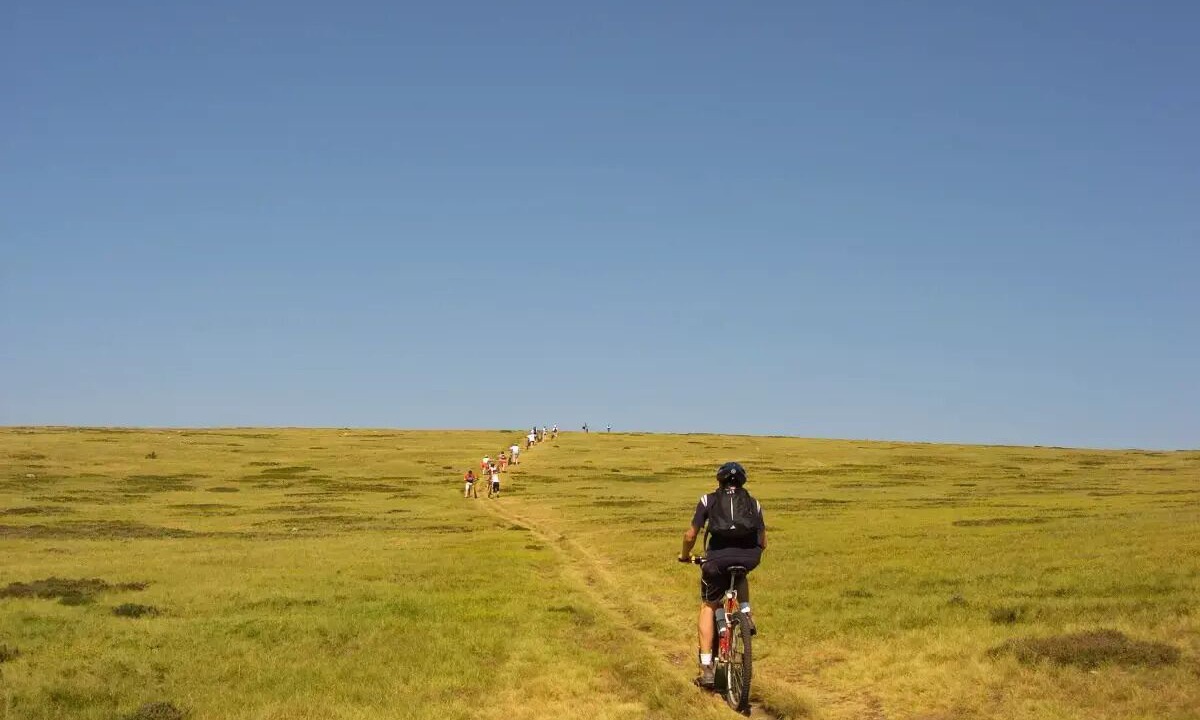 Photo of Others in Mende