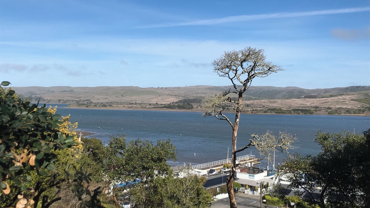 Photo of Others in Inverness