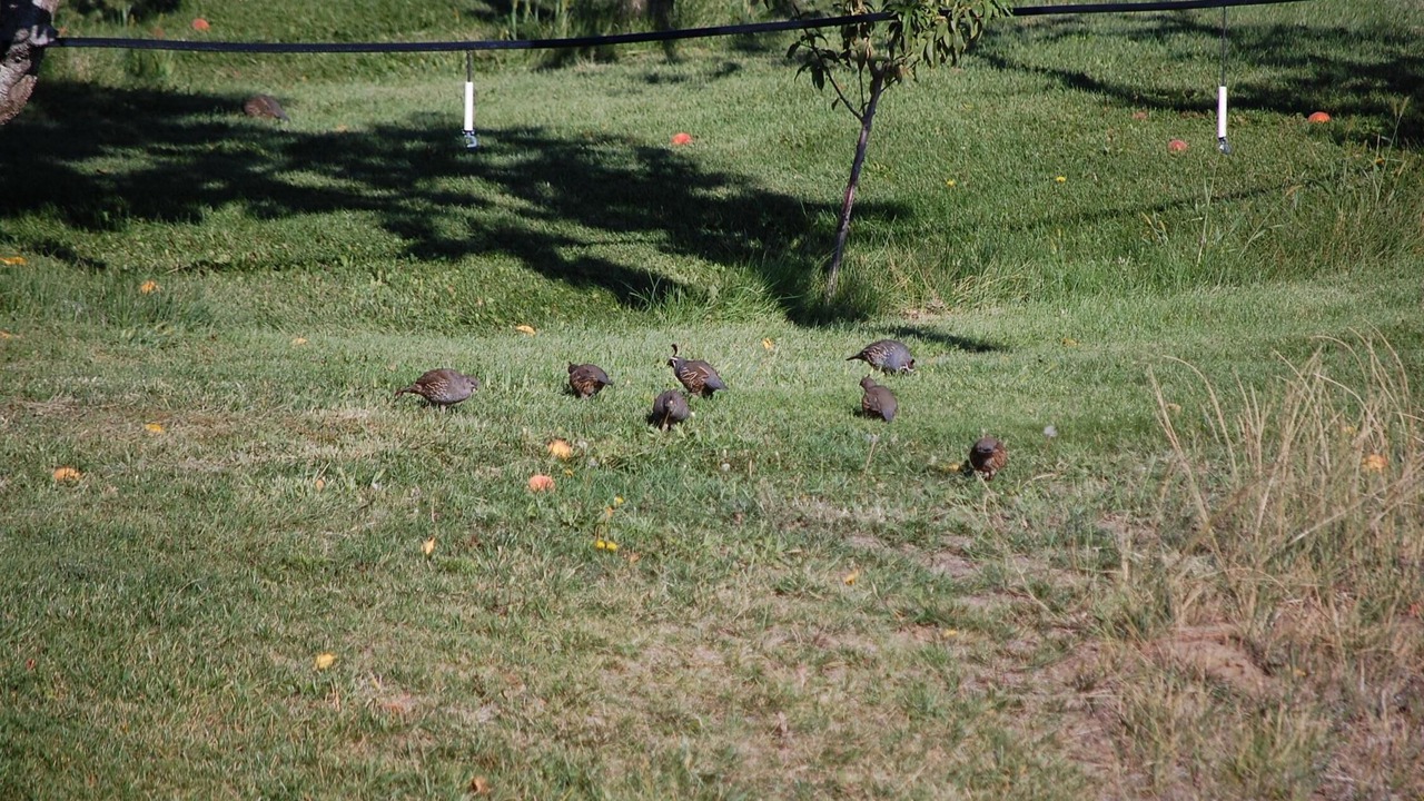 Photo of Others in Okanogan