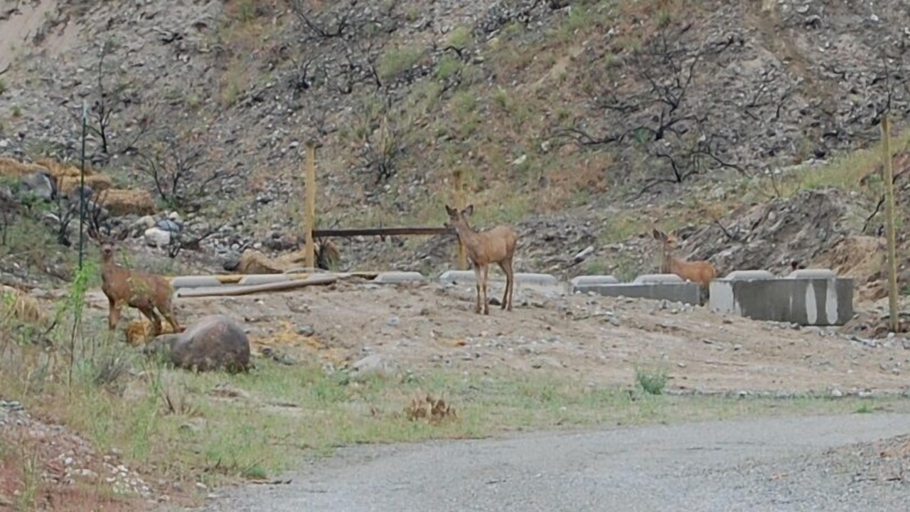 Photo of Others in Okanogan