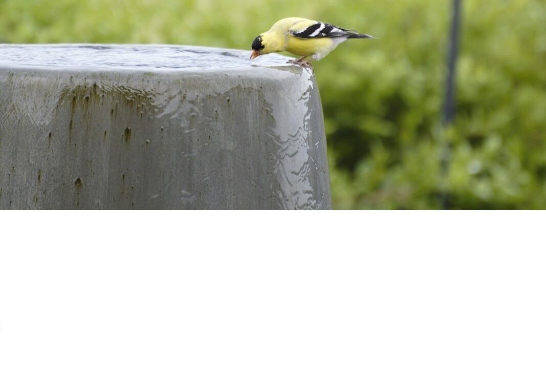 Photo of Others in Okanogan