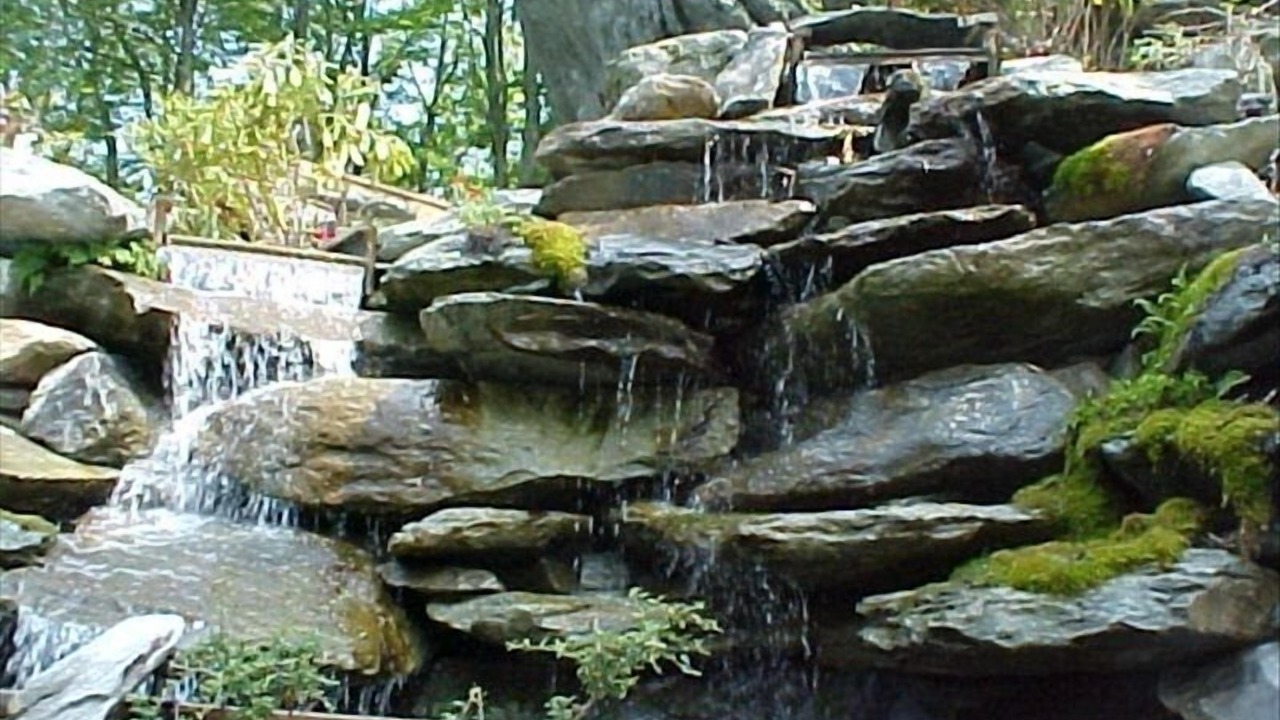 Photo of Outdoor in Banner Elk