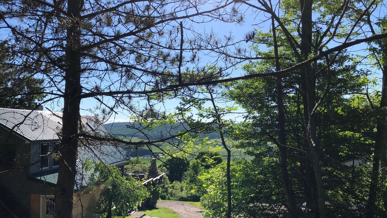 Photo of Outdoor in New Woodstock