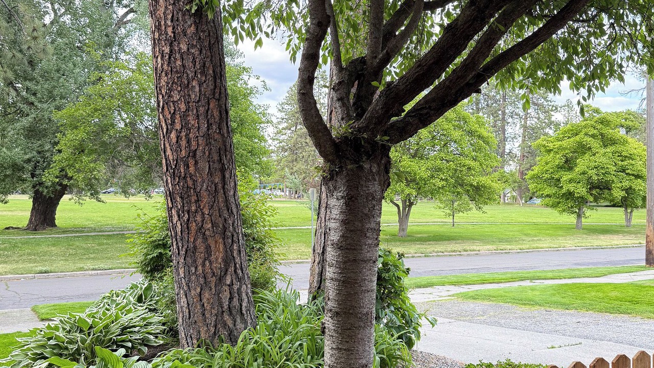 Photo of Outdoor in Manito