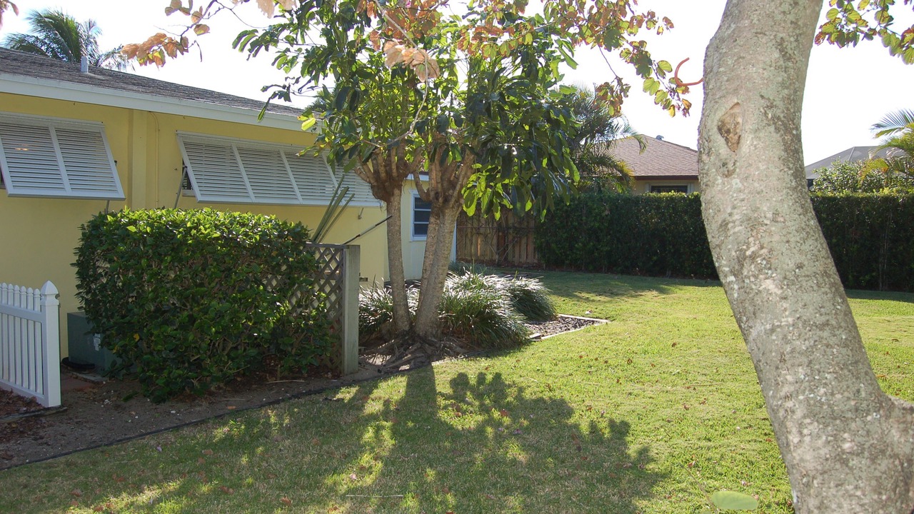 Photo of Outdoor in Juno Beach