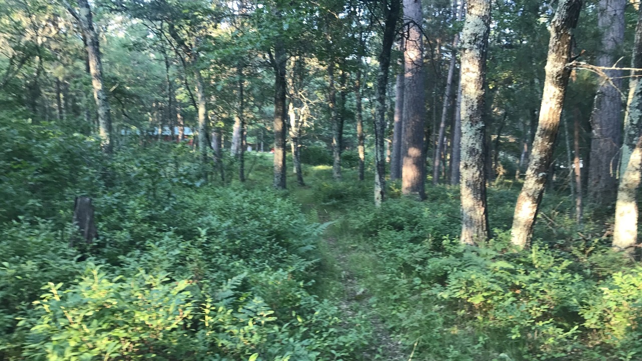 Photo of Outdoor in Minong