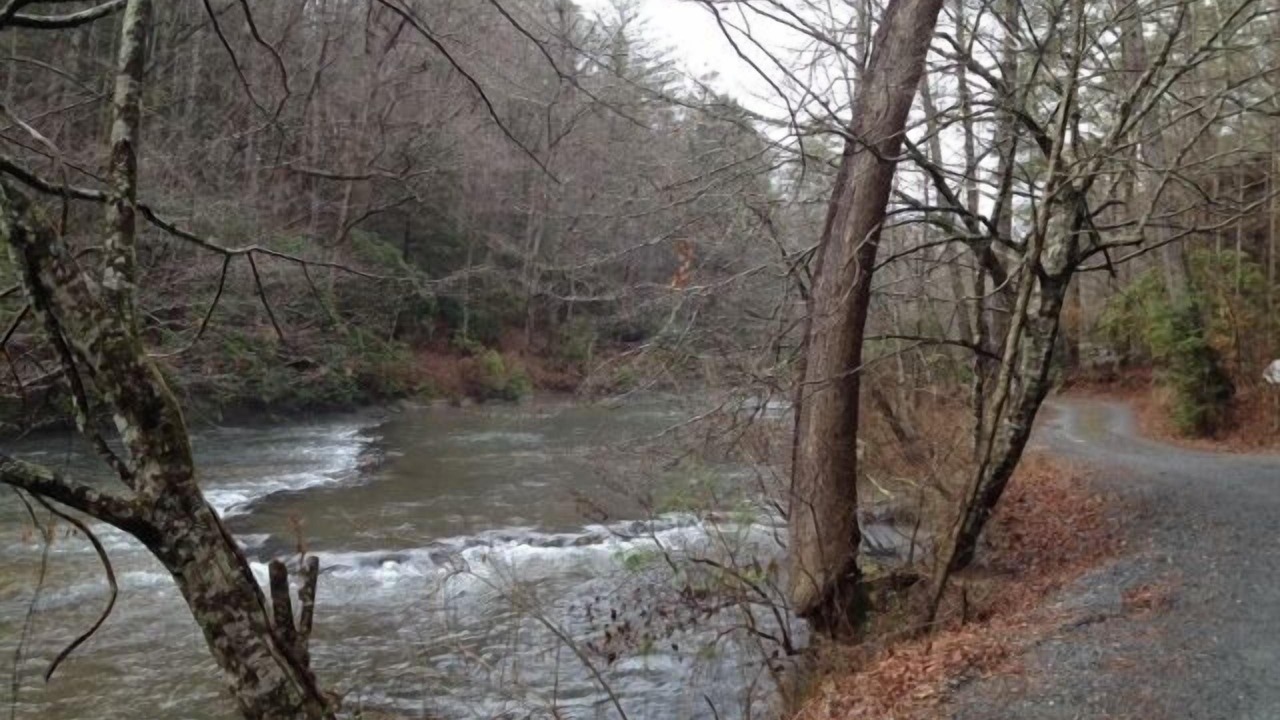 Photo of Others in Ellijay