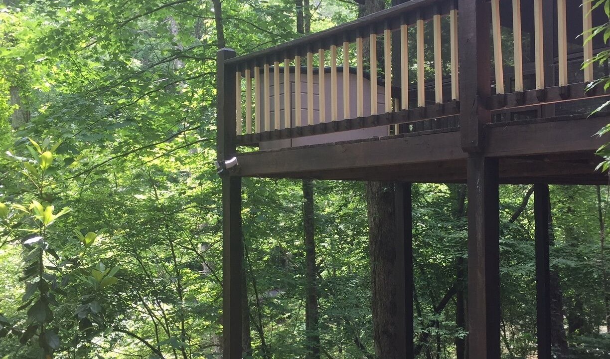 Photo of Outdoor in Ellijay