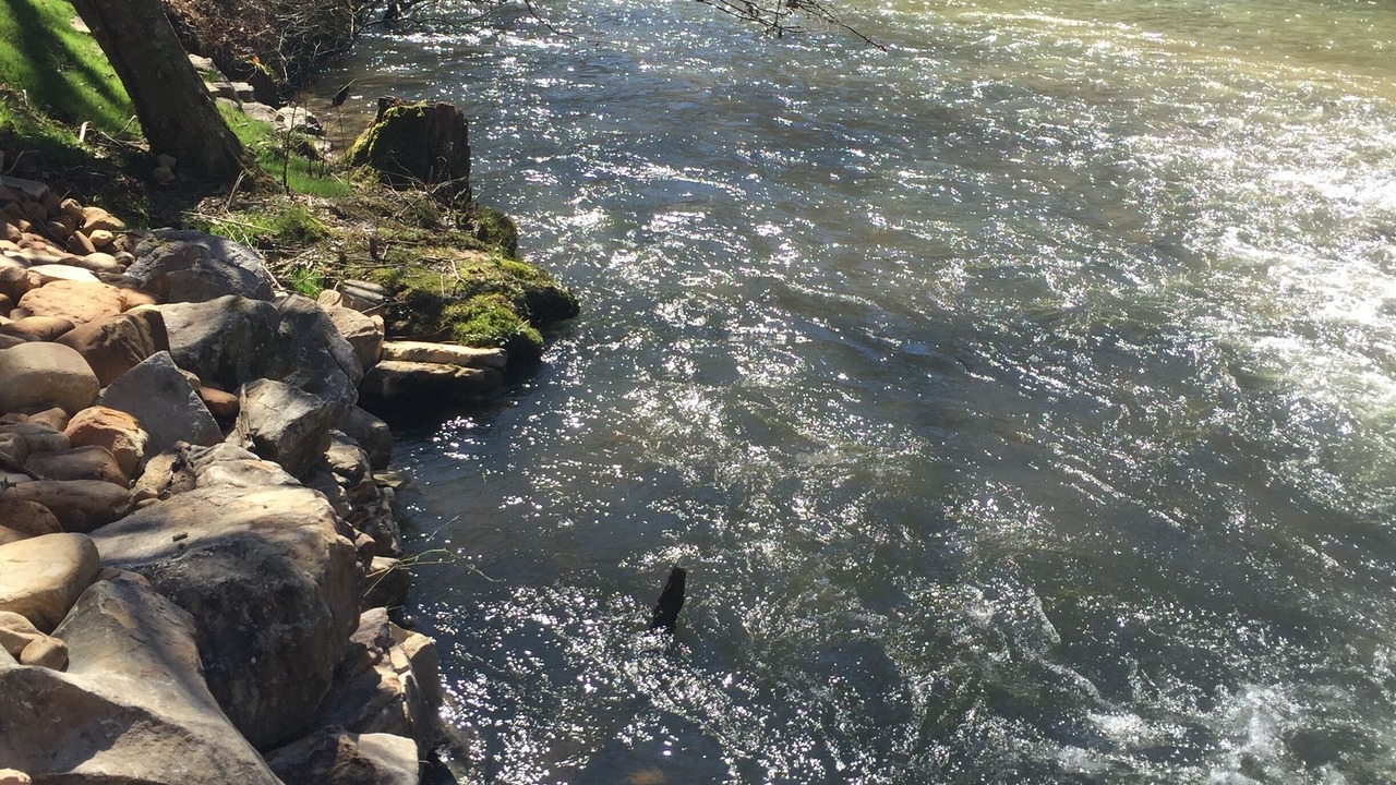 Photo of Others in Ellijay