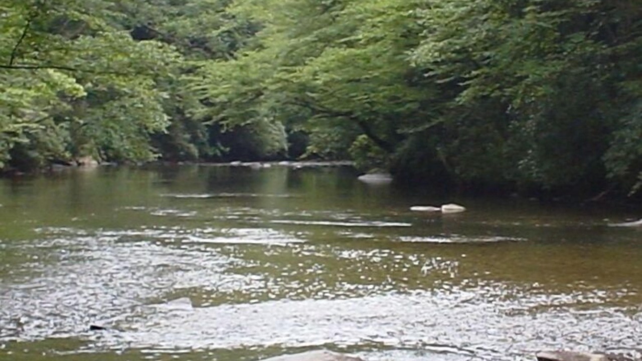 Photo of Others in Ellijay