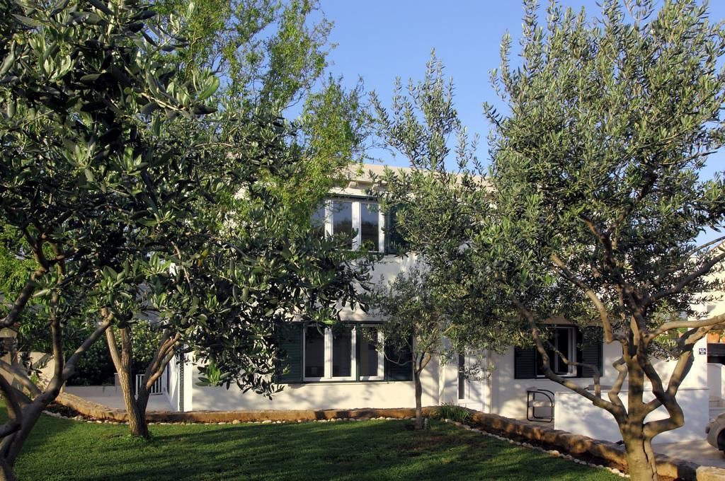 Photo of Outdoor in Mocici