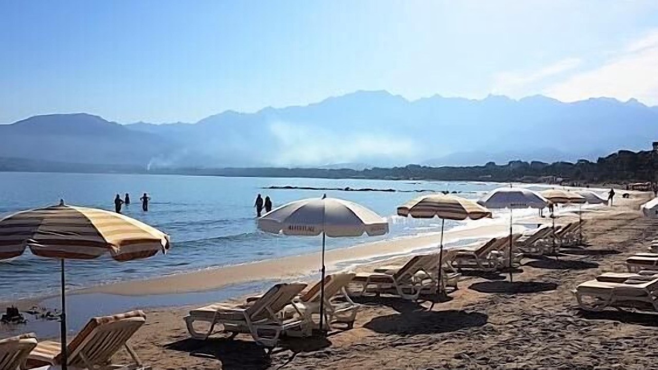 Photo of Others in Calvi