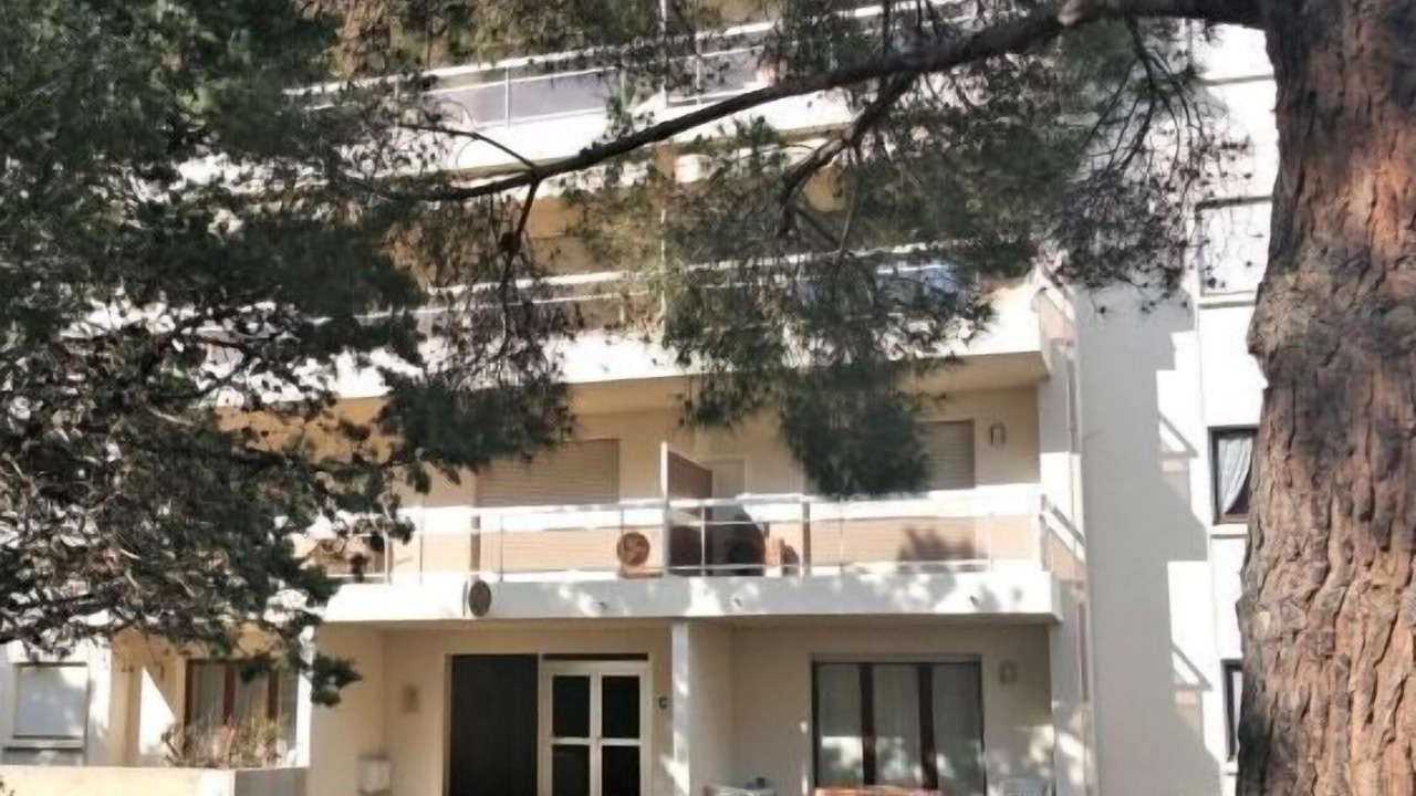 Photo of Outdoor in Calvi