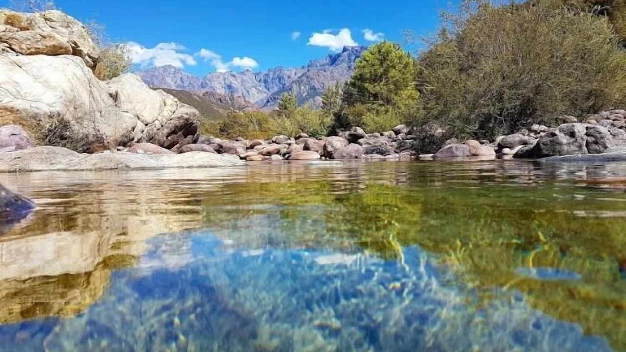Photo of Others in Calvi
