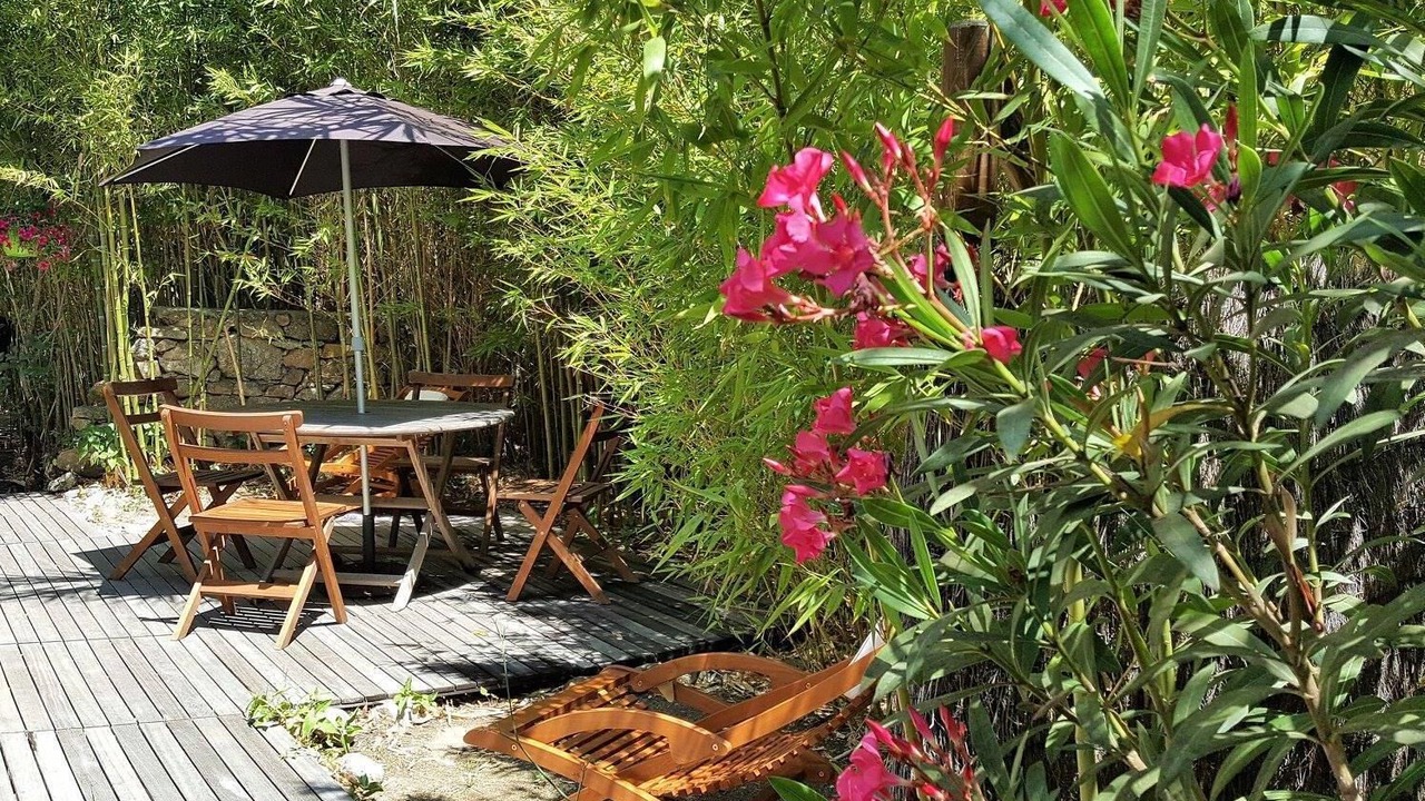 Photo of Outdoor in Calvi