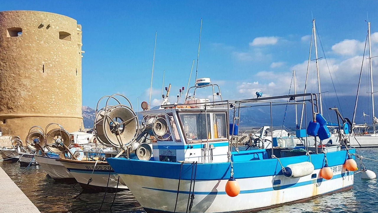 Photo of Others in Calvi