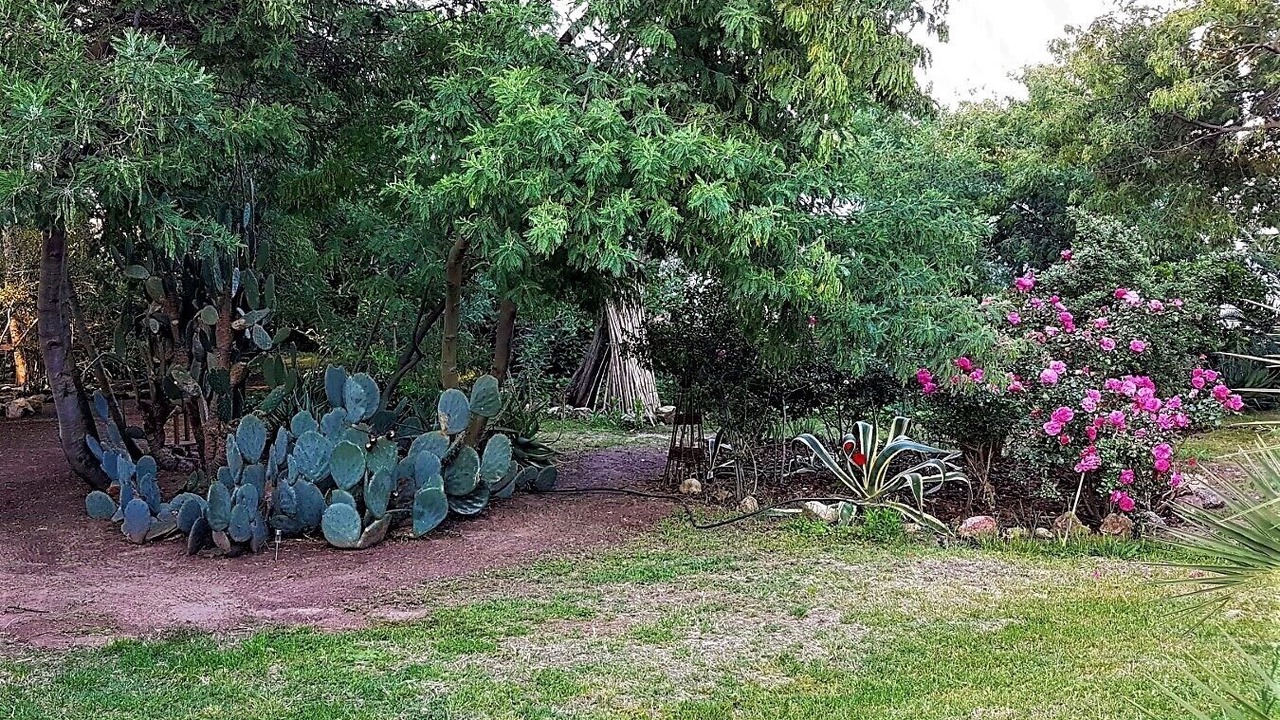 Photo of Outdoor in Calvi